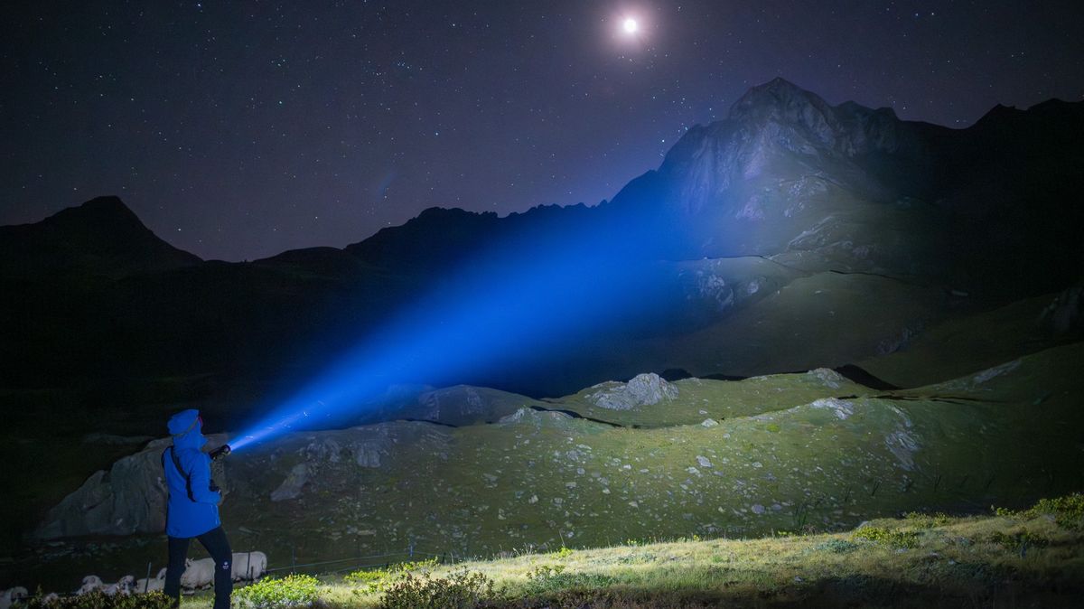 Fotky: Ovce v Alpách získaly noční bodyguardy. Cílem je ale ochránit vlky